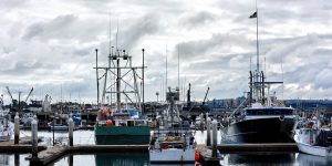 台南安平區景點